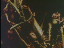 Thumbnail 28
