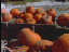 Thumbnail 29