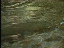 Thumbnail 24