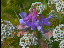 Thumbnail 27