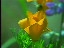 Thumbnail 55