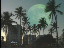 Thumbnail 45