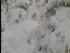 Thumbnail 27