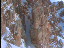 Thumbnail 55