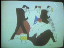 Thumbnail 17