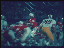 Thumbnail 32