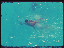 Thumbnail 36