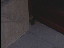 Thumbnail 57