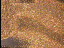 Thumbnail 36