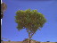 Thumbnail 52
