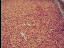 Thumbnail 27