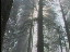 Thumbnail 16