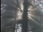 Thumbnail 17