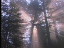 Thumbnail 26