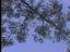 Thumbnail 29
