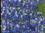 Thumbnail 30