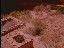 Thumbnail 27