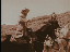 Thumbnail 29