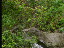 Thumbnail 33