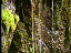 Thumbnail 36