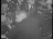 Thumbnail 38