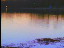 Thumbnail 16