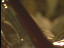 Thumbnail 22