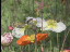 Thumbnail 25