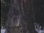 Thumbnail 26
