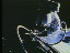 Thumbnail 25
