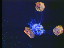 Thumbnail 26