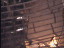 Thumbnail 23