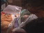 Thumbnail 45