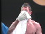 Thumbnail 49