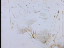 Thumbnail 21