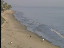 Thumbnail 31