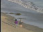 Thumbnail 38