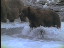 Thumbnail 30