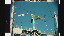 Thumbnail 37