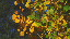 Thumbnail 34