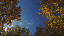 Thumbnail 36