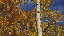 Thumbnail 37