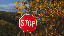 Thumbnail 40