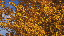 Thumbnail 42