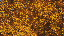 Thumbnail 43