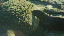 Thumbnail 52