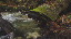 Thumbnail 62