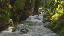 Thumbnail 22