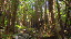 Thumbnail 23