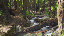 Thumbnail 27